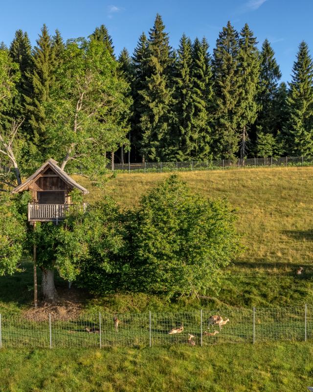 NGL Drohne Juli 24-44