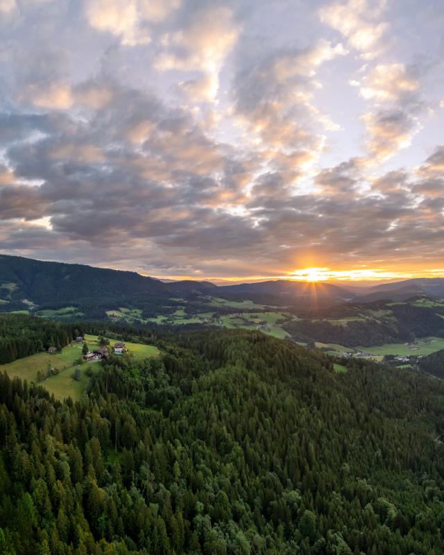 NGL Drohne Juli 24-101