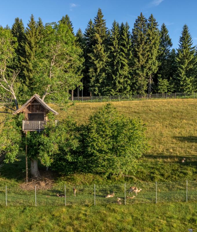 NGL Drohne Juli 24-44 NGL Drohne Juli 24-44